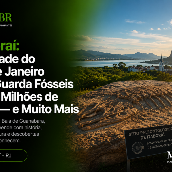 Itaboraí RJ: Bairros, História, Economia e Tudo Que Você Precisa Saber Sobre a Cidade